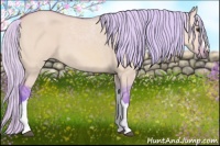 Horse Color:Watercolor Silver Bay Dun 
