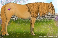 Horse Color:Watercolor Chestnut 