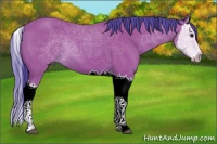 Horse Color:Watercolor Bay Splash