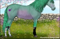 Horse Color:Watercolor Bay 