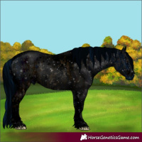Horse Color:ERROR: UNKNOWN ANOMALY and ERROR: UNKNOWN ANOMALY