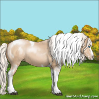 Horse Color:Chocolate Silver Grullo Pearl Splash Tobiano 