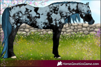 Horse Color:ERROR: UNKNOWN ANOMALY