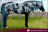 Horse Color:ERROR: UNKNOWN ANOMALY