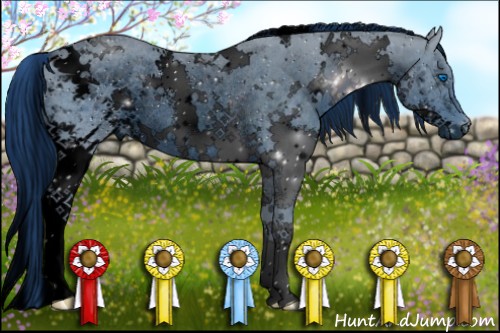 Horse Color:ERROR: UNKNOWN ANOMALY