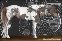 Horse Color:White Spotted Liver Chestnut Tobiano Rabicano