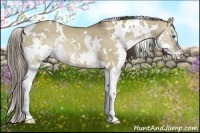 Horse Color:White Spotted Liver Red Dun Splash Rabicano