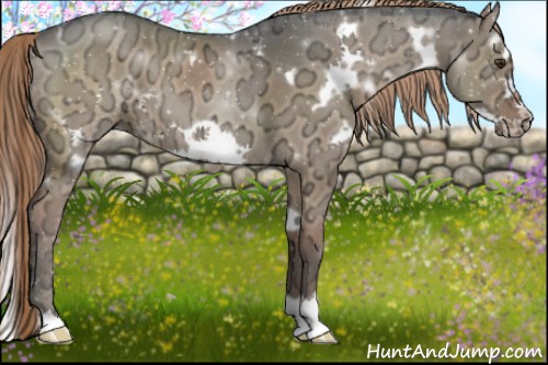 Horse Color:White Spotted Liver Red Dun Ice Frame 