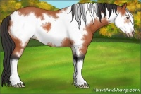 Horse Color:Bay Roan Frame 