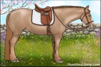 Horse Color:Liver Chestnut Pearl