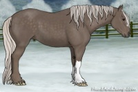 Horse Color:Silver Black 