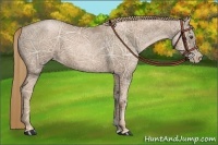 Horse Color:Liver Chestnut Ice Pearl 
