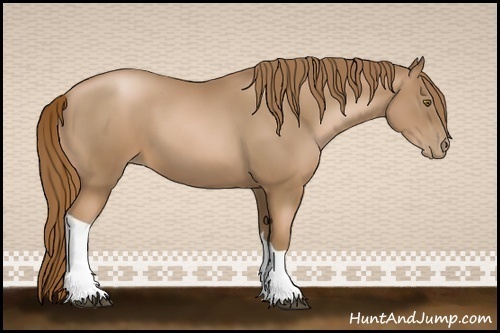 Horse Color:Liver Chestnut Pearl 