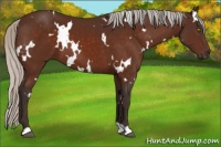 Horse Color:White Spotted Silver Brown 