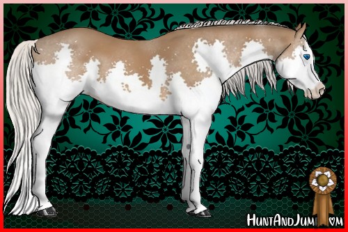 Horse Color:Silver Bay Splash