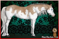 Horse Color:Silver Bay Splash 