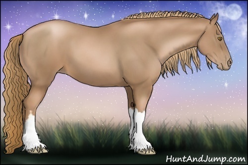 Horse Color:Liver Chestnut Pearl 