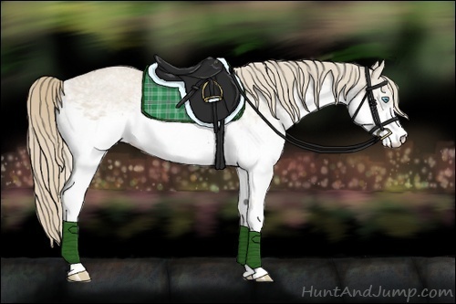 Horse Color:White Spotted Smoky Creme