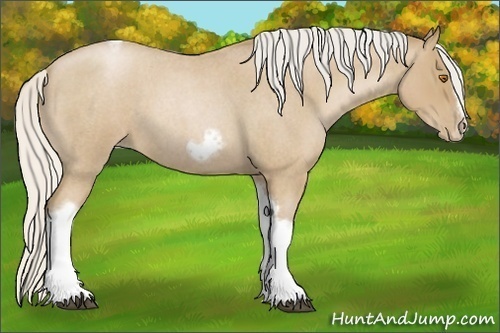 Horse Color:Silver Blue Roan Pearl Tobiano Frame 