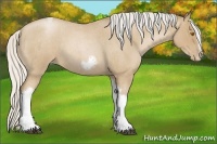 Horse Color:Silver Blue Roan Pearl Tobiano Frame 