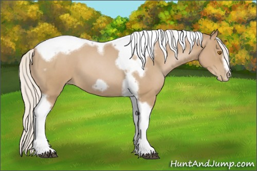 Horse Color:Silver Blue Roan Pearl Tobiano Frame 