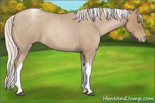 Horse Color:Silver Blue Roan Pearl Tobiano Frame 
