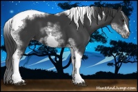Horse Color:White Spotted Black Splash Tobiano Frame Varnish
