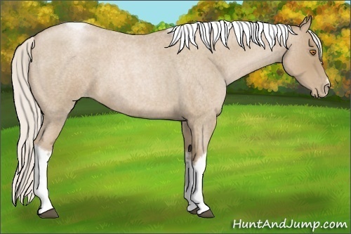 Horse Color:Silver Blue Roan Pearl Tobiano Frame 