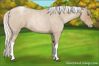 Horse Color:Silver Blue Roan Pearl Tobiano Frame 