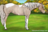 Horse Color:Silver Blue Roan Pearl Tobiano Frame 