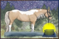 Horse Color:Silver Blue Roan Pearl Tobiano Frame 