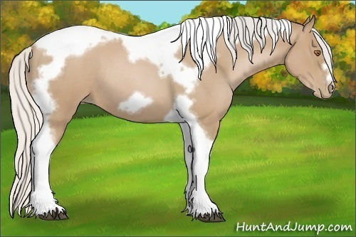 Horse Color:Silver Blue Roan Pearl Tobiano Frame 