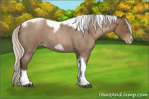 Horse Color:Gray Silver Blue Roan Pearl Tobiano Frame 