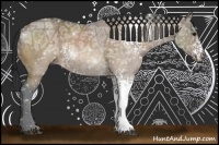 Horse Color:White Spotted Brown Ice Dun 