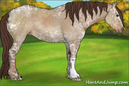 Horse Color:Liver Red Dun Ice 