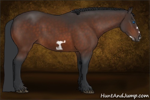 Horse Color:Bay Frame