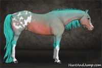 Horse Color:Watercolor Brown Appaloosa 