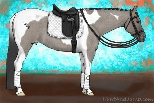 Horse Color:Grullo Roan Tobiano Varnish 
