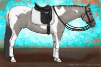 Horse Color:Grullo Roan Tobiano Varnish