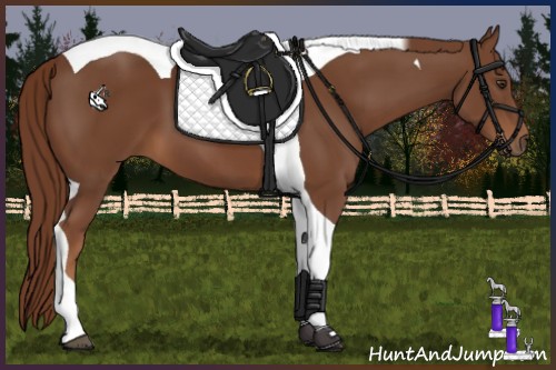 Horse Color:Chestnut Tobiano 