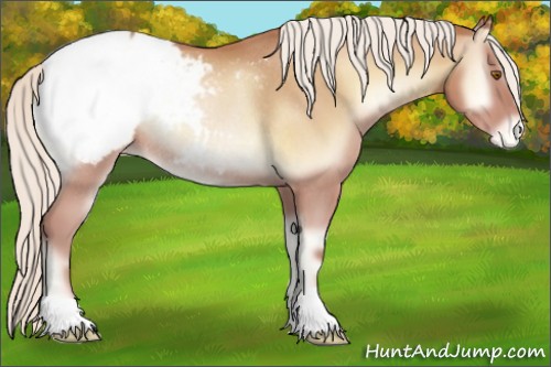 Horse Color:Chocolate Silver Brown Pearl Onyx Snowcap Rabicano