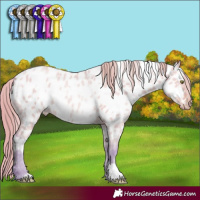 Horse Color:Watercolor White Spotted Bay Pearl Dun Near Leopard 