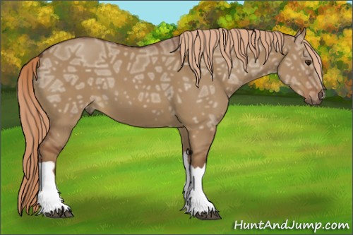 Horse Color:Red Dun Ice