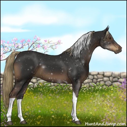 Horse Color:Liver Chestnut Tobiano 