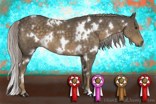 Horse Color:White Spotted Chocolate Palomino