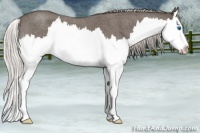 Horse Color:Silver Blue Roan Splash 