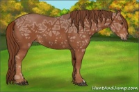 Horse Color:Chestnut Ice 