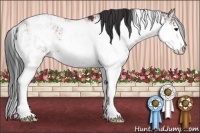 Horse Color:Bay Sabino Rabicano 