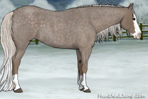 Horse Color:Silver Blue Roan Splash 