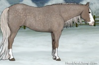 Horse Color:Silver Blue Roan Splash 